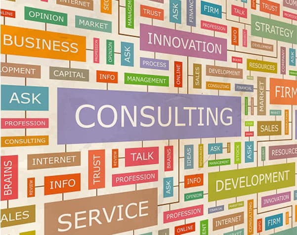 IT Consulting