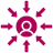 tick